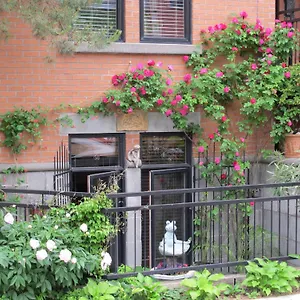 https://apt-a-gem-downtown.hotels-in-montreal.org